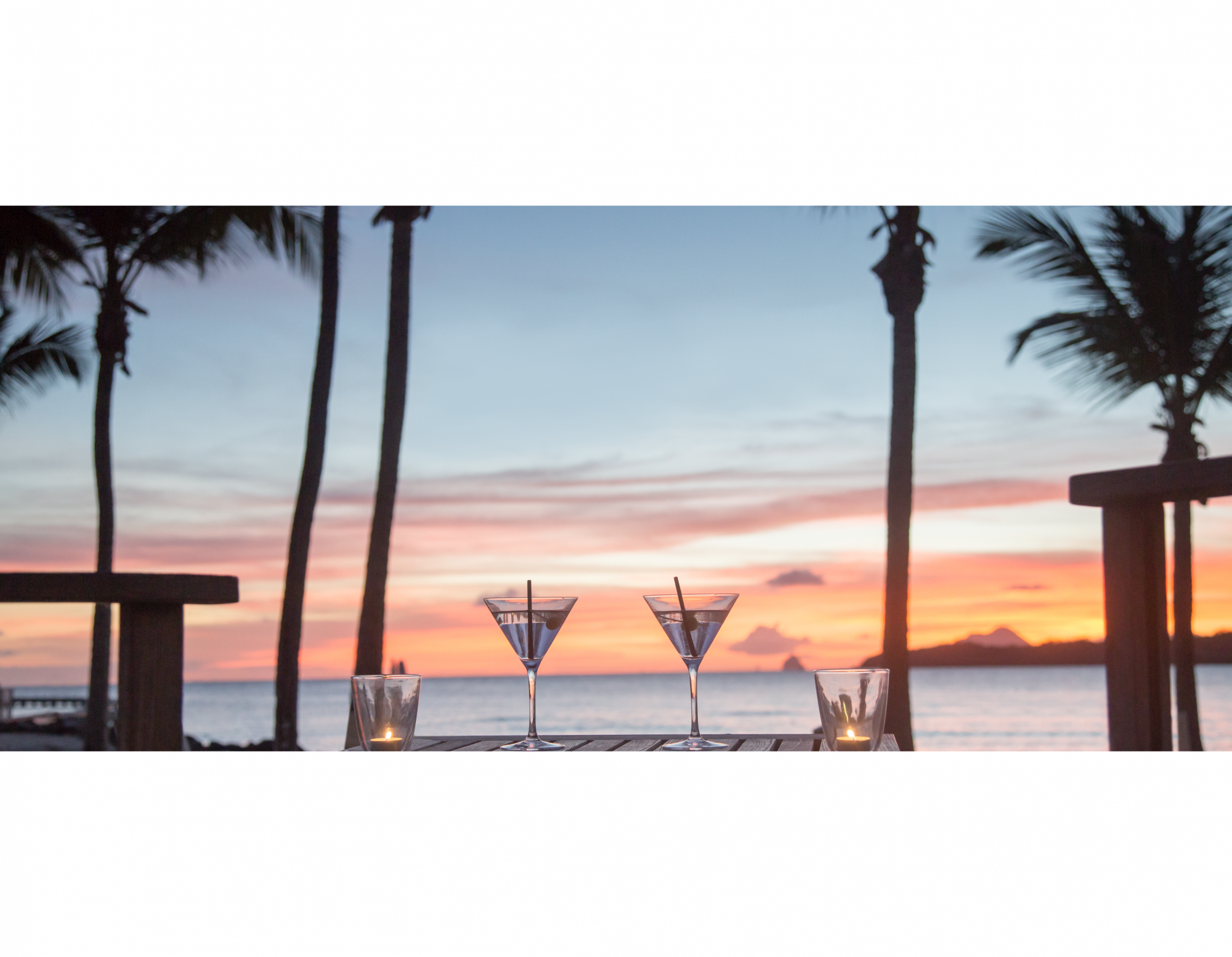 main banner image